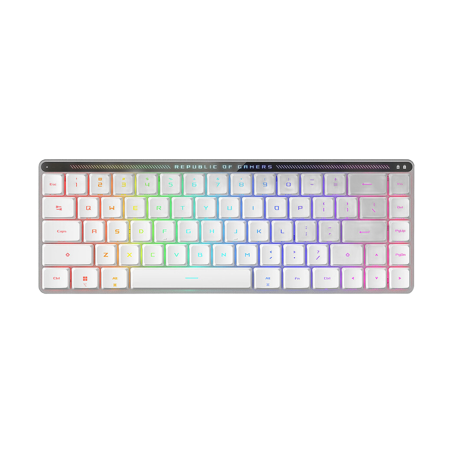 ASUS ROG FALCHION - ASUS ROG RX LOW PROFILE — vue principale